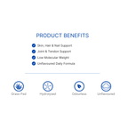 Collagen Powder Supplement